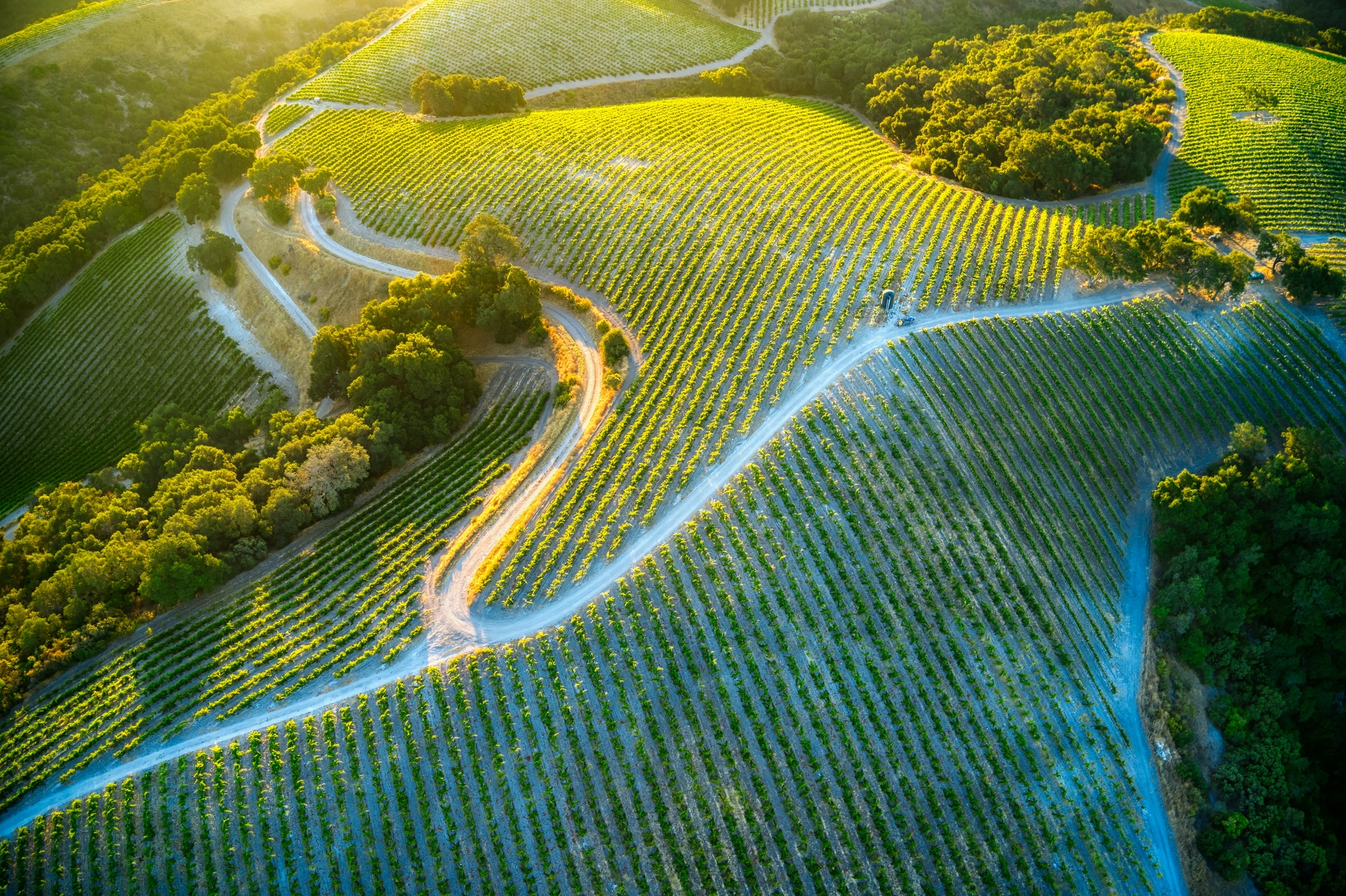 venti-views-cP1dce__FeY-unsplash.jpg