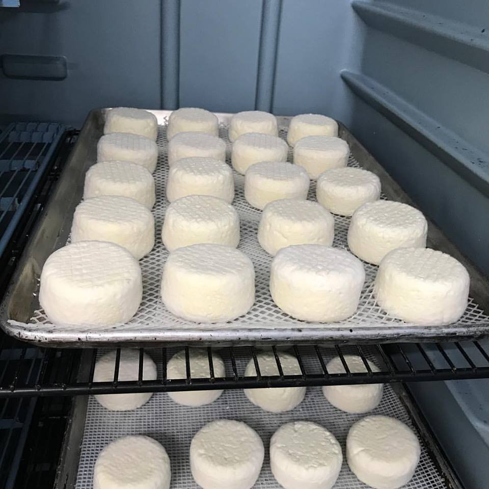 Doe's and Diva's produces incredible, fresh sheep and cow dairy products.