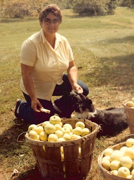 The Justus family has been growing apples for over 100 years.