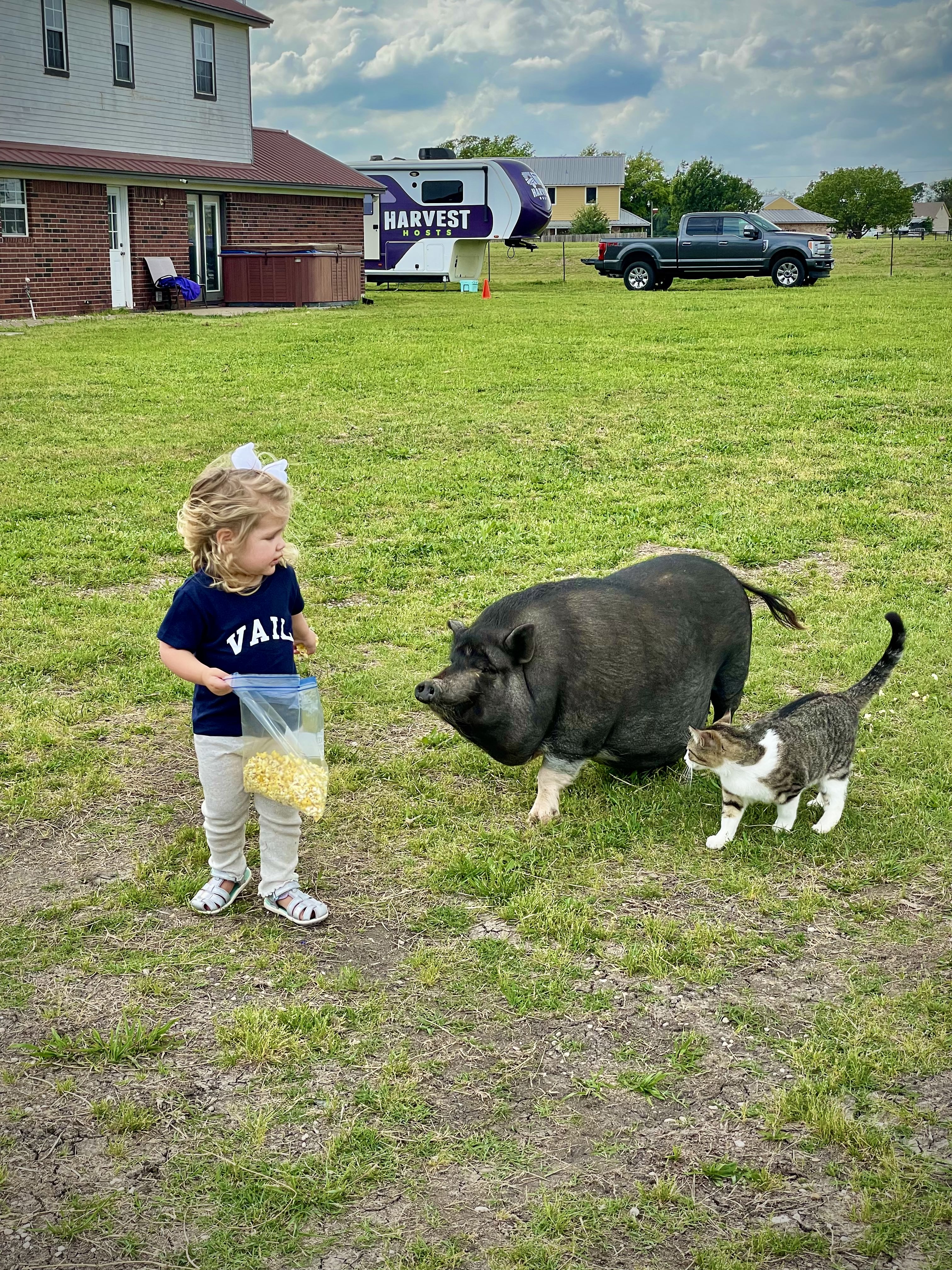 M2RanchTexas1 (1).jpg